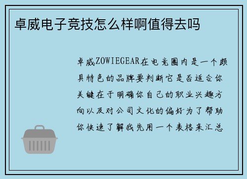 卓威电子竞技怎么样啊值得去吗